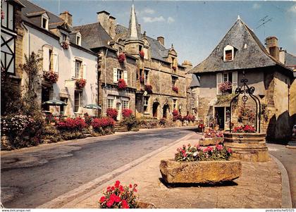 BR21948 Rochefort en terre  france