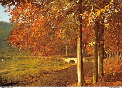 BR22313 Medon Chaville le bois de Chaville france