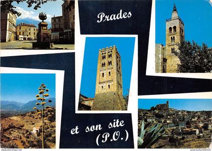 BR27548 PRades prades et ses environs france