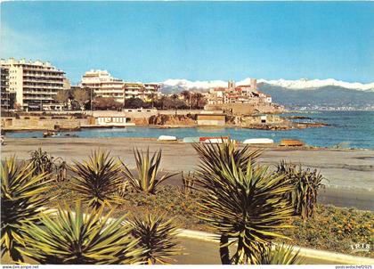 BR31588 Antibes les remparts et la vieille ville france