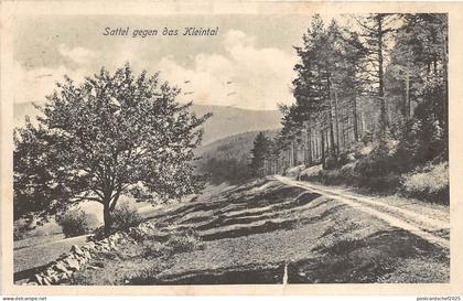 BR41156 Sattel gegen das kleintal  France