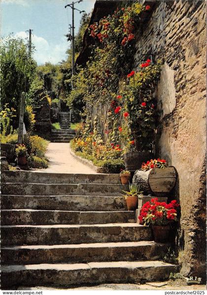 BR43244 Vieil escalier fleuri Rochefort en terre     France