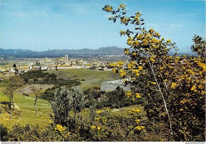 BR49000 Roquebrune sur argens vue generale      France 1