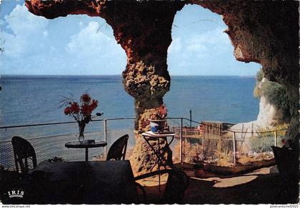 BT5641 Meschers les grottes        France