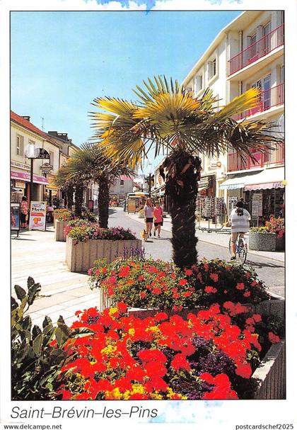 BT6638 Saint Brevin les Pins         France
