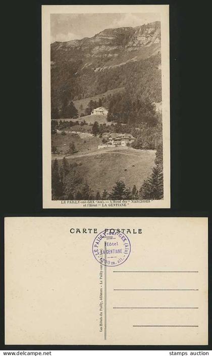 France Old Postcard PAILLY-SUR-GEX - Ain Hotel Gentiane