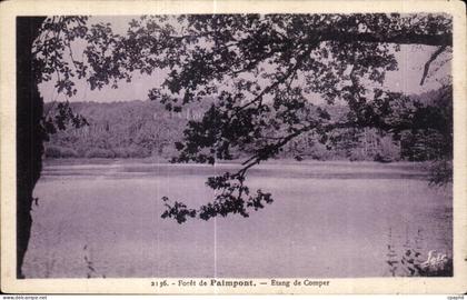 CPA Paimpont Foret de Etang de Comper