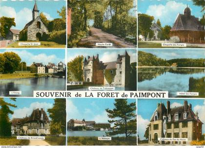 CPSM Souvenir de la Foret de Paimpont