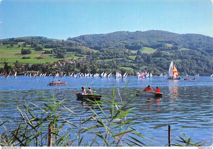 38 PALADRU LE LAC DE PALADRU CHARAVINES