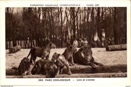 CPA Expostion Coloniale Internationale Paris 1931 Parc Zoologique Lion et lionnes