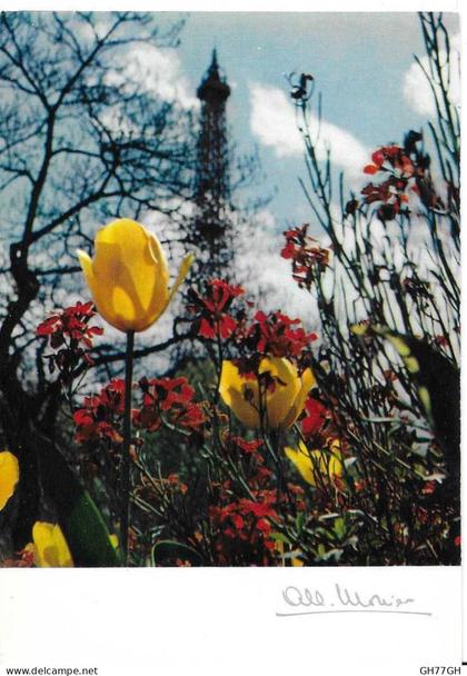 CP PARIS -DANS LES JARDINS DE CHAILLOT -par Albert Monier -non circulée