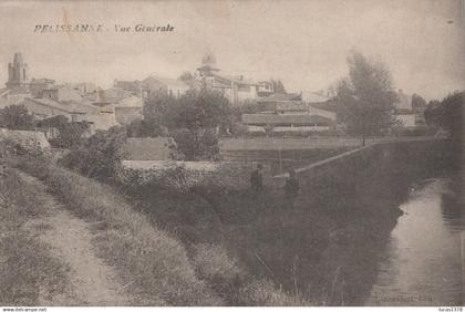 13 / PELISSANNE / VUE GENERALE