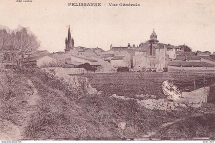 13 / PELISSANNE / VUE GENERALE