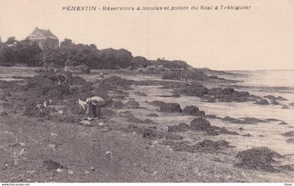 PENESTIN