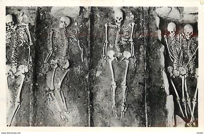 PIE-T-16-5347 : PENMARC H  MUSEE PREHISTORIQUE NECROPLE DE SAINT URNEL EN PLOMEUR   AGE DE FER