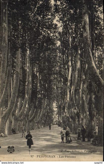 CPA Perpignan Les Platanes