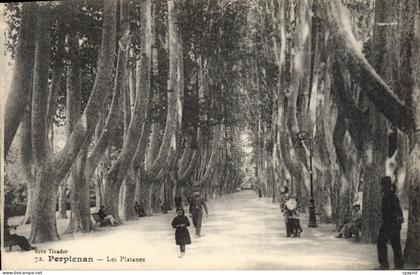 CPA Perpignan Les Platanes