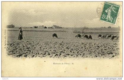 PIBRAC 31 - Environs de Pibrac - Ferme - Berger
