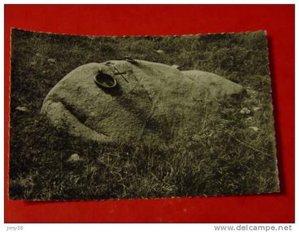 RHONE-PIERRE BENITE-36.623-LA PIERE BENITE- ED CELLARD-ANIMEE