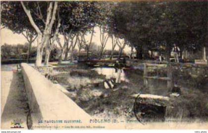 Cpa Piolenc - Promenade des Marronniers   ( S.10472 )
