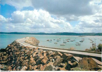 CPM Plestin les Greves (Cotes d'Armor) le Petit Port de Beg Douar