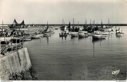 52609 - PLOBANNALEC LESCONIL - CPSM - CHALUTIERS AU PORT