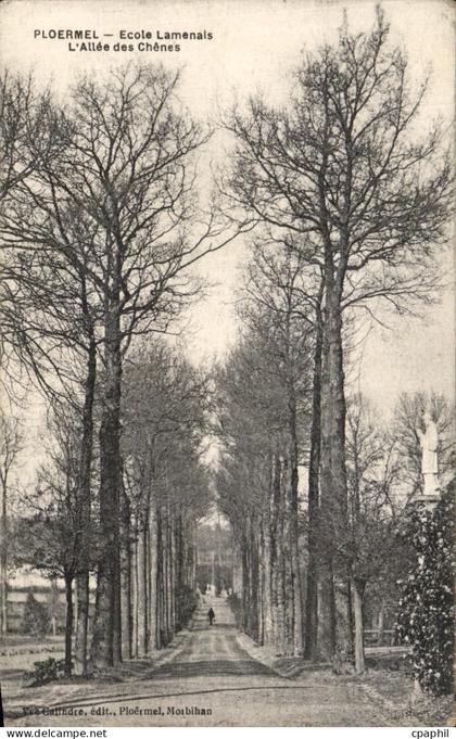 CPA Ploermel Ecole Lamenals L Allee des Chenes