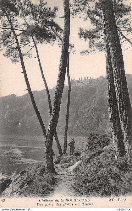 22-PLOEZAL CHATEAU DE LA ROCHE JAGU-N°T1153-C/0189