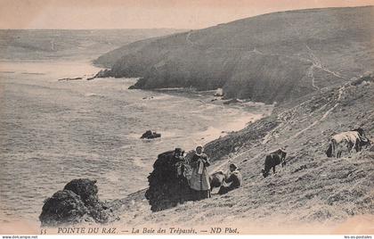 29 PLOGOFF POINTE DU RAZ