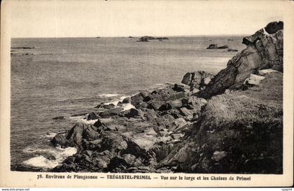 CPA Environs de Plougasnou Tregastel Primel Vue sur le large et les Chaises de Primel