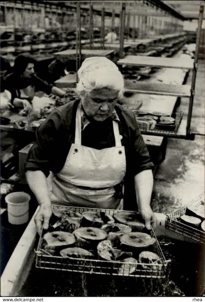 29 - PLOUHINEC - lavage du thon - conserverie - 1977