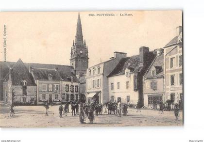 PLUVIGNER - La Place - état