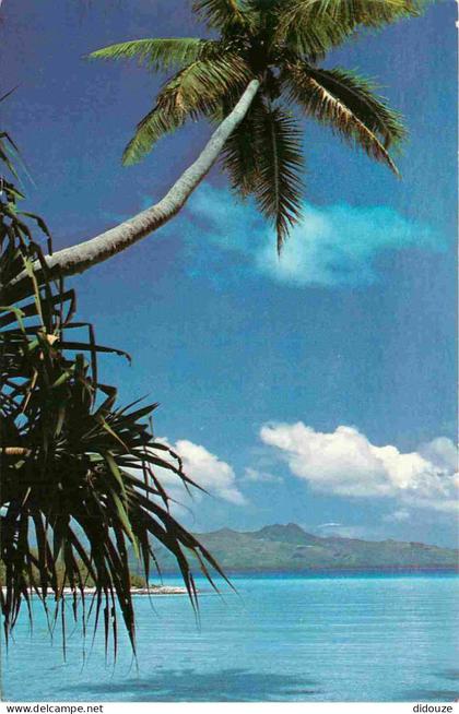 Carte Postale - Polynésie française - Tubuai - Iles australes Polynesie francaise Austral islands French polynesia - CPM