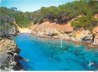 CPM Ile de Porquerolles l'Oustaou de Diou