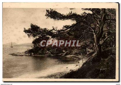 Les iles d'Hyeres CPA Porquerolles La plage d'argent