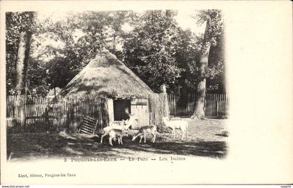 Pougues les Eaux - Le Parc - Les Daims - deer - CPA