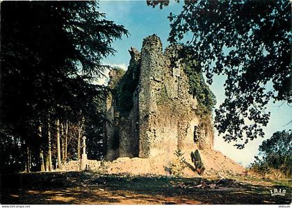 Carte Postale - 85 - Pouzauges - Ruines de l'ancien château - Flamme Postale de Pouzauges - CPM - Voir Scans Recto-Verso