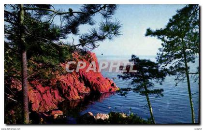 CPM Charme et Soleil de la Cote d'Azur Paradis mediterraneen Les roches rouges