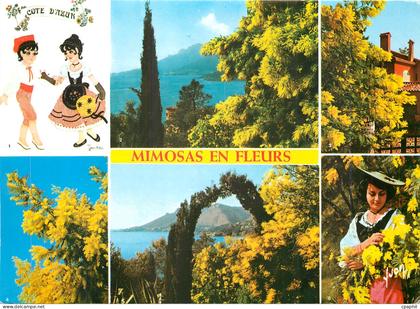 CPM La Cote d'Azur Alpes Maritimes