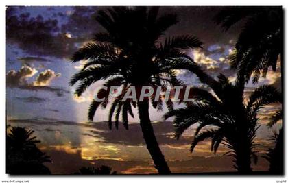CPM La Cote d'Azur inoubliable