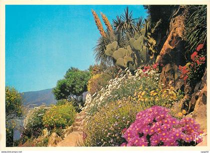CPM La Cote d'Azur miracle de la nature Jardin Fleuri de la Cote d'Azur