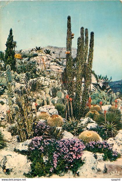 CPSM La Cote d'Azur French Riviera Jardin Exotique