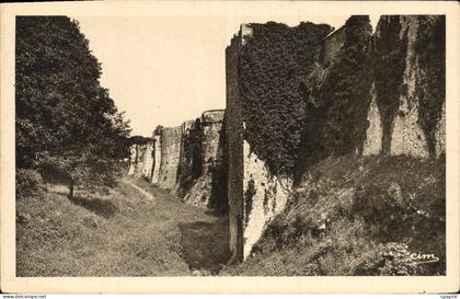 CPA Provins Anciennes Fortifications