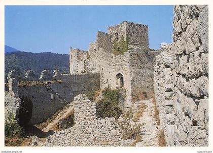 81 PUYLAURENS CHATEAU DE PUYLAURENS