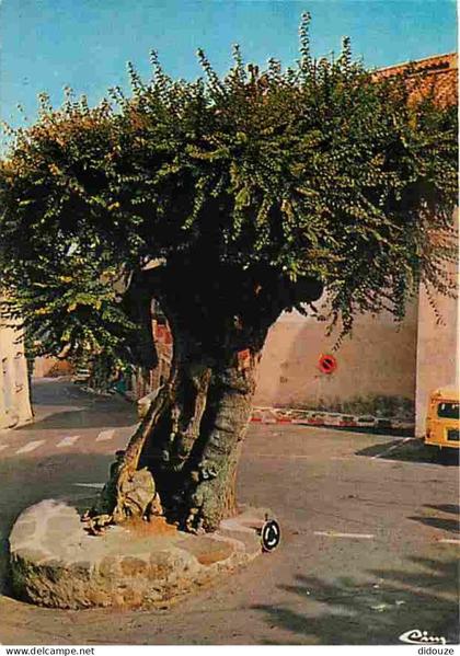 83 - Ramatuelle - Carte Neuve - CPM - Voir Scans Recto-Verso