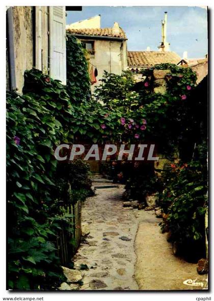 CPM Ramatuelle Var Rue des Amoureux