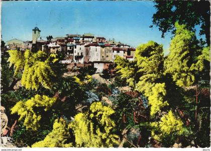 CPM RAMATUELLE Vue Generale (1116661)