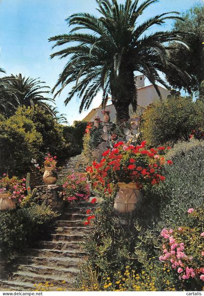 83-RAYOL-N°3842-D/0365