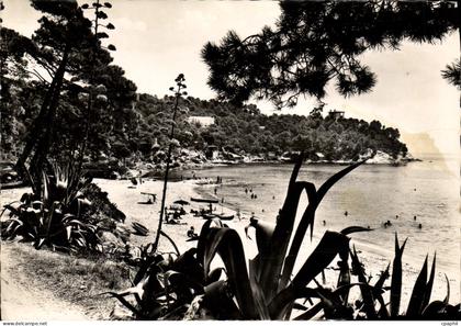 CPM La Cote Des Maures Le Canadel La Plage