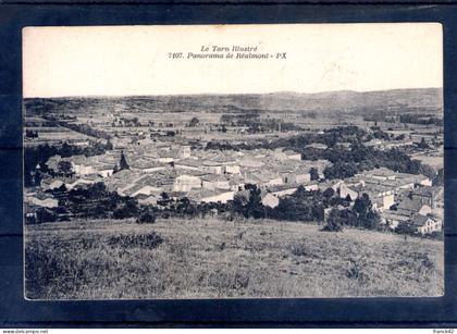 81. réalmont. panorama